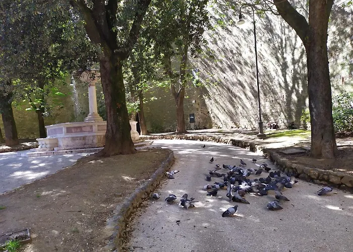 Little Daire Perugia