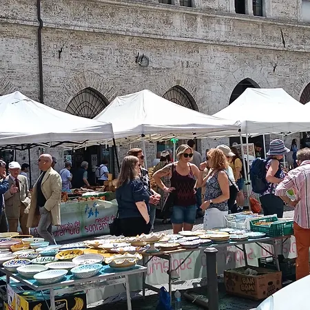 Little Daire Perugia